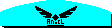 Wing/Voile: BLUE ANGEL