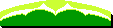 BUZZ Z5