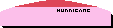 Wing/Voile: HURRICANE